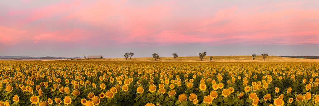 Stunning Panoramic Landscapes