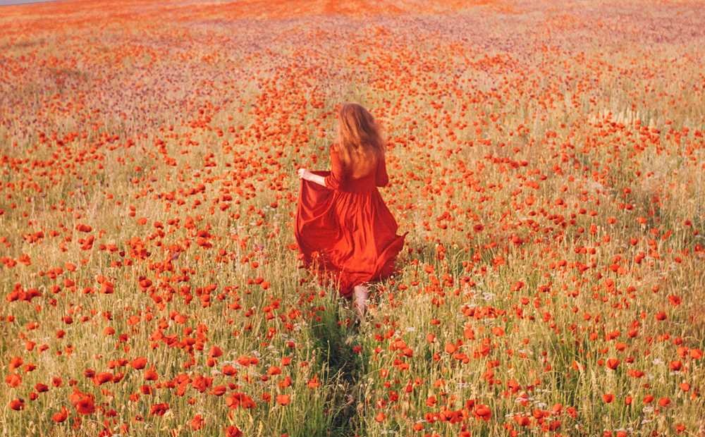 Stunning Colorful Photographs