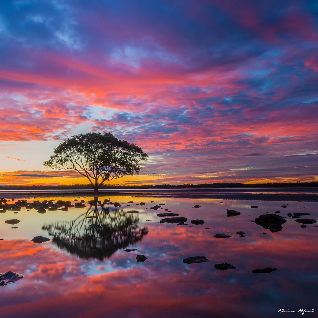 Beautiful Nature Landscape Photography
